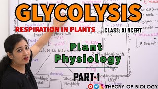 Glycolysis Respiration in plants ClassXI PLANT PHYSIOLOGY NEET 2025DSSB PGTHTETKVS BIOLOGY [upl. by Bartolemo]