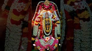 Chendur Muruga  Lord Murugan Devotional Song Tamil  Murugan Song Whatsapp Status Tamil shortsfeed [upl. by Neona]