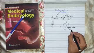 Development of Duodenum  Embryology of Digestive System [upl. by Ricketts]