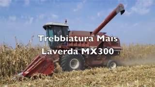 Trebbiatura mais con Laverda mx300 [upl. by Zared838]