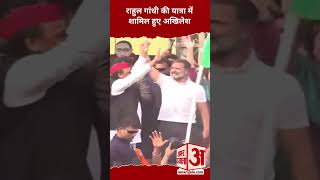 Bharat Jodo Nyay Yatra Rahul Gandhi की यात्रा में शामिल हुए Akhilesh Yadav  Amar Ujala [upl. by Drof684]