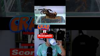 crab VERSUS scorpion INTENSE battle animalsfightingcompilation [upl. by Caterina]