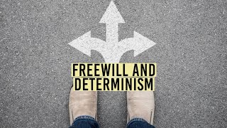 determinism 🦌 vs ⚔️ free 🆓 will 🥀 [upl. by Towill279]