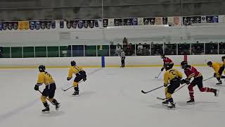 20240224 A Div Sharks 4  Flames 3 [upl. by Elleirad756]