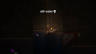 still water in terraria 💀 [upl. by Sebastiano83]