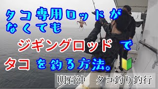 明石でタコ釣り！初心者でも誰でも簡単タコ釣り！ジギングロッドでタコは釣れるのか？！ [upl. by Naujad240]