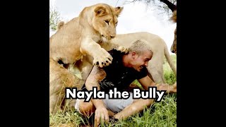 Nayla The Bully Best Of Dean Schneider [upl. by Phebe541]