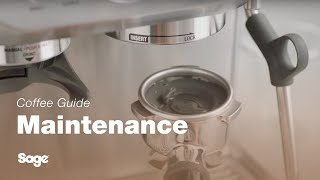 The Barista Express™  How to perform a cleaning cycle on your espresso machine  Sage Appliances UK [upl. by Annaicul]