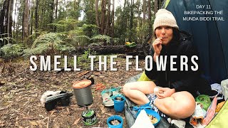 Chasing the bliss so hard you miss it  Bikepacking Munda Biddi Trail  Day 11  Smell the Flowers [upl. by Sheedy]