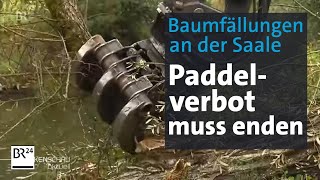 Baumfällungen an der Saale Ende des Paddelverbots in Sicht [upl. by Ahsuoj239]