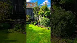 Garden Tour Back Yard In 1 Minute [upl. by Gregor580]