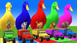 5 Giant Duck CartoonCowElephantTigerLionDinosaurPaint Wild Animals Crossing Fountain Animation [upl. by Ofloda499]