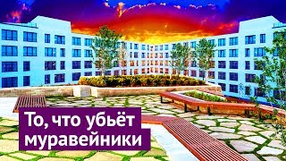 Новосибирск могут когда захотят [upl. by Beitz879]