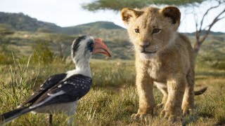 Simba a young lion prince Avenges the Murder of his Father Mufasa and Becomes a True King [upl. by Nehtiek]