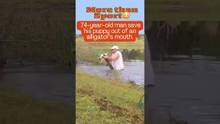 Unbelievable 74yearold man in Florida pulled his puppy out of an alligators mouth shorts [upl. by Otrebireh442]