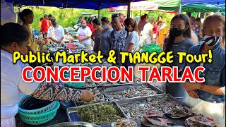 Fantastic Market Day in CONCEPCION TARLAC  Filipino Wet Market  TIANGGE Tour in Tarlac Philippines [upl. by Mata851]