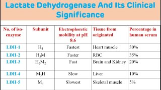 Lactate Dehydrogenase And Its Clinical Significance  LDH Biochemistry [upl. by Durst]