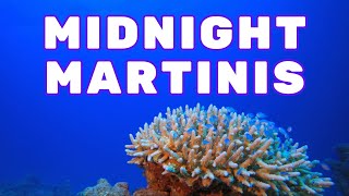 Relaxing Cuban Music  Midnight Martinis  Sea Life Sea Creatures Coral Reef  Instrumentals Club [upl. by Eustacia]