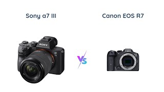 Sony a7 III vs Canon EOS R7 Which Camera is Better [upl. by Roter]