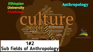 Anthropology 12 Subfields of Anthropology University [upl. by Melonie]