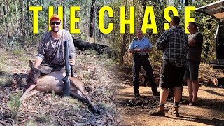 Fallow Deer Hunting In Australian State Forest  Venison Catch amp Cook [upl. by Ahsinac]