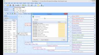 Using the RootsMagic Gazetteer [upl. by Salomone]