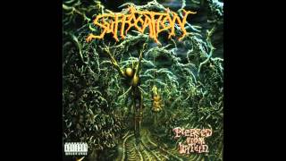 Suffocation  Depths of Depravity HQ [upl. by Atteynod20]