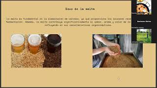 Cereales y productos derivados [upl. by Hermina14]