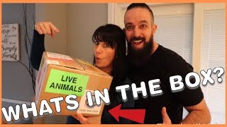 BABY MONITOR UNBOXING amp MAIL [upl. by Rehtul517]