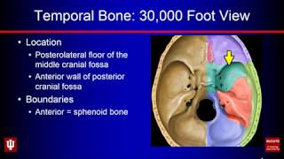 Temporal Bone Anatomy [upl. by Naashar]