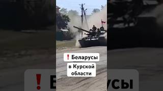 ⚡️ Курская область сегодня — Беларусы заходят на танке  Последние новости Видео Белсат [upl. by Leanard]