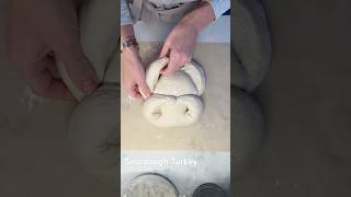 Sourdough turkey [upl. by Laeynad]