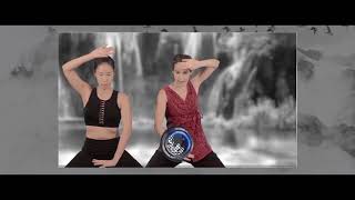 8 Trigram Organ Qigong  White Tiger Trailers [upl. by Turne691]