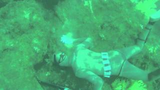 Spearfishing Cabo Blanco [upl. by Kealey]