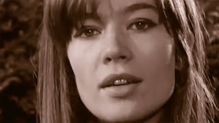 FRANCOISE HARDY  Lamitié remix 2011  2023 [upl. by Ellatnahc547]