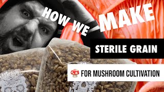 How to make sterile rye grain for mushroom cultivation [upl. by Ahsienak]