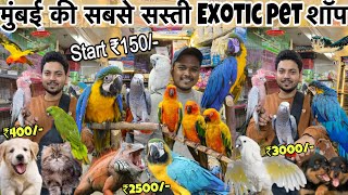 Start ₹150😱 सबसे सस्ती शॉप  Animals  Birds  cheapest Pet market in Mumbai  Wajid pet shop [upl. by Bertero]