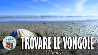 Come trovare le vongole  Ca Savio VE [upl. by Philbrook]