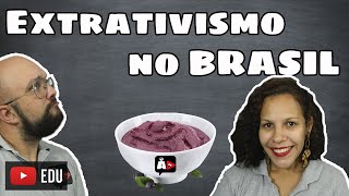 Seu Açaí e o Extrativismo no Brasil  Agora Disserte [upl. by Ahsirt986]