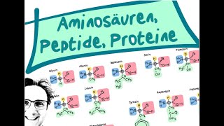 AminosäurenPeptideProteine [upl. by Hbahsur]