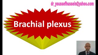 Brachial plexus  Injury  Erbs paralysis  Policeman position  Klumpkes paralysis  Claw hand [upl. by Marybeth]