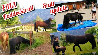 FMA Pferdestall Alltag  Reitbeteiligung Update  Training mit drei Ponys im Roundpen  Paddocktrail [upl. by Hege999]