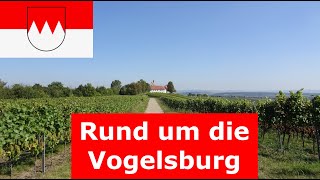 🚶🏽‍♂️ Sonnige WeinWanderung rund um die Vogelsburg am Main bei VolkachNordheimEscherndorf [upl. by Ynattirb]