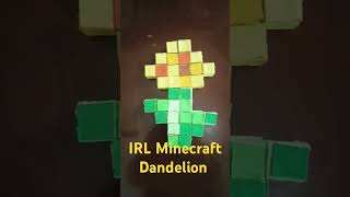 IRL Minecraft Dandelion minecraft subscribe [upl. by Sair631]