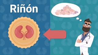 Conoce más micotoxinas con Sanfer Salud Animal [upl. by Nolla]