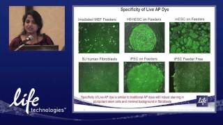 Live alkaline phosphatase staining presentation [upl. by Utir557]