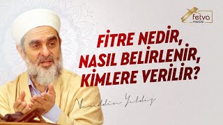 Fitre Nedir Nasıl Belirlenir Kimlere Verilir  Nureddin Yıldız  fetvameclisicom [upl. by Ynotna388]