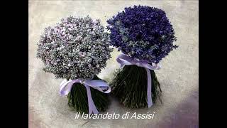 Bouquet sposa bouquet lavanda bouquets matrimonio e addobbi per eventi e cerimonie bouquet sposa [upl. by Anigal407]