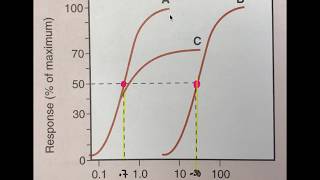 Efficacy vs Potency [upl. by Llieno]