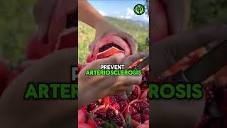 What Happens When You Eat Pomegranate Every Day shorts shortsviral viral wellness [upl. by Liggett]